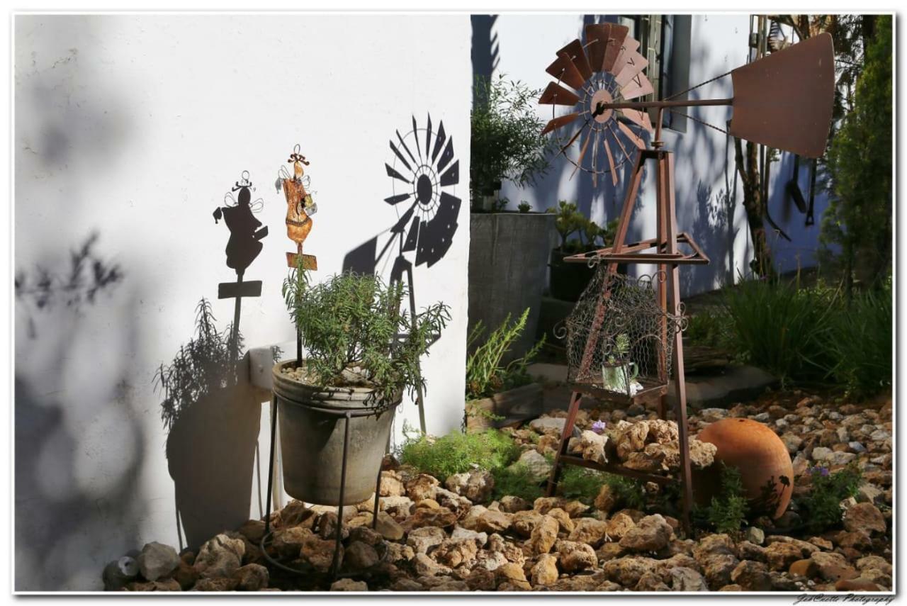 Tortelduif Cottage Offthegrid Middelburg  Екстер'єр фото